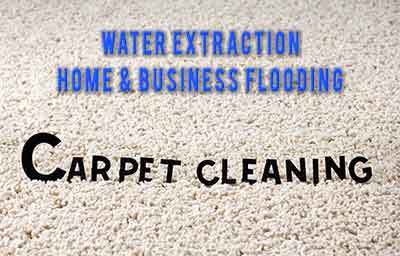 corpus christ carpet cleaning pros carpet cleaners